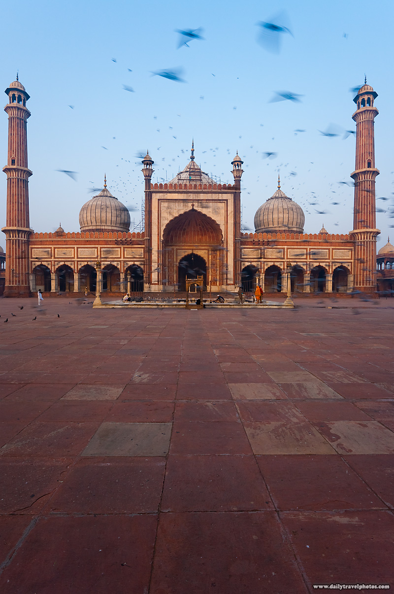 Birds Jama Masjid Mosque Courtyard Morning - Delhi, India - Daily Travel Photos