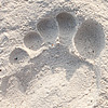 White Sand Beach Photo: A footprint and a sand-caked foot on Ko Lipe's Pattaya beach.