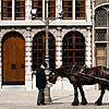 Feed Bucket Photo: A horse is fed by the driver of the tourist buggy in front of the guild houses.