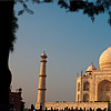 photo: Foliage Framing - The Taj Mahal at sunset is framed by a tree and bushes.  (From the archives due to time restraints.)