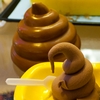 Crap Food Photo: Taipei's Modern Toilet restaurant's take on dessert:  Ice cream piled like poop served in a squat toilet.